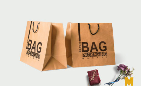 Paper Shopping Bag Mock Up